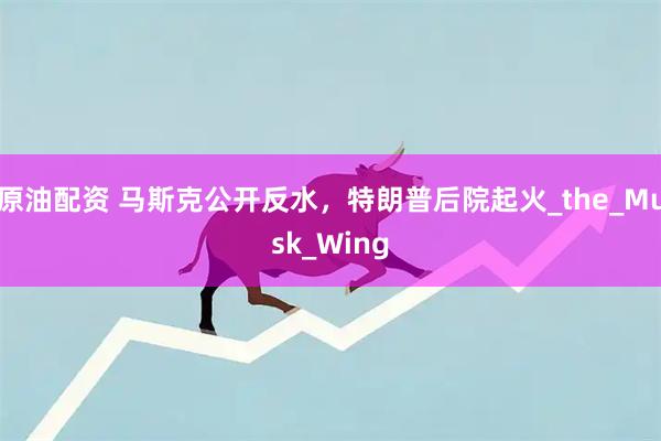 原油配资 马斯克公开反水，特朗普后院起火_the_Musk_Wing