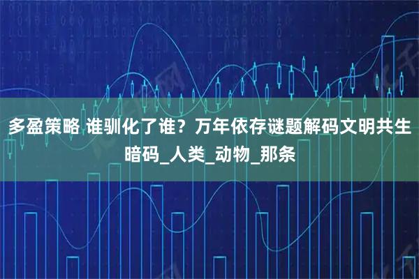 多盈策略 谁驯化了谁？万年依存谜题解码文明共生暗码_人类_动物_那条