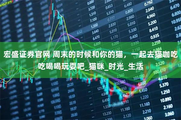 宏盛证券官网 周末的时候和你的猫，一起去猫咖吃吃喝喝玩耍吧_猫咪_时光_生活