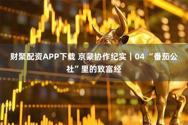 财聚配资APP下载 京蒙协作纪实｜04 “番茄公社”里的致富经