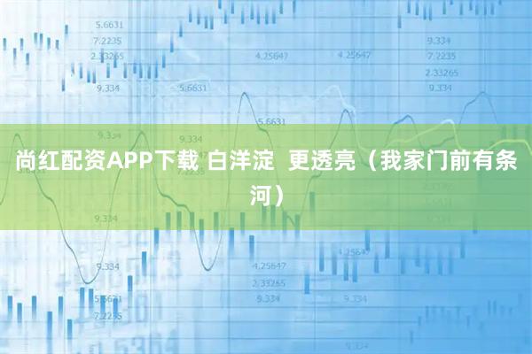 尚红配资APP下载 白洋淀  更透亮（我家门前有条河）