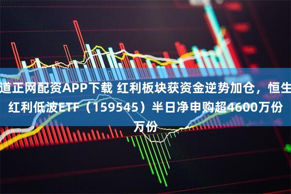 道正网配资APP下载 红利板块获资金逆势加仓，恒生红利低波ETF（159545）半日净申购超4600万份
