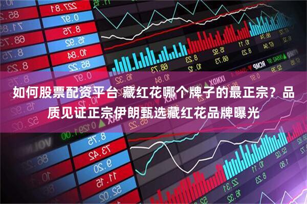 如何股票配资平台 藏红花哪个牌子的最正宗？品质见证正宗伊朗甄选藏红花品牌曝光