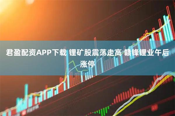君盈配资APP下载 锂矿股震荡走高 赣锋锂业午后涨停