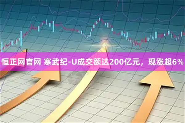 恒正网官网 寒武纪-U成交额达200亿元，现涨超6%